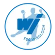 TSG Wiesloch Handball