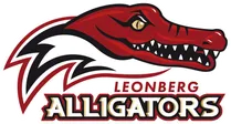 SV Leonberg/Eltingen e.V. Abt. American Football & Cheerleading