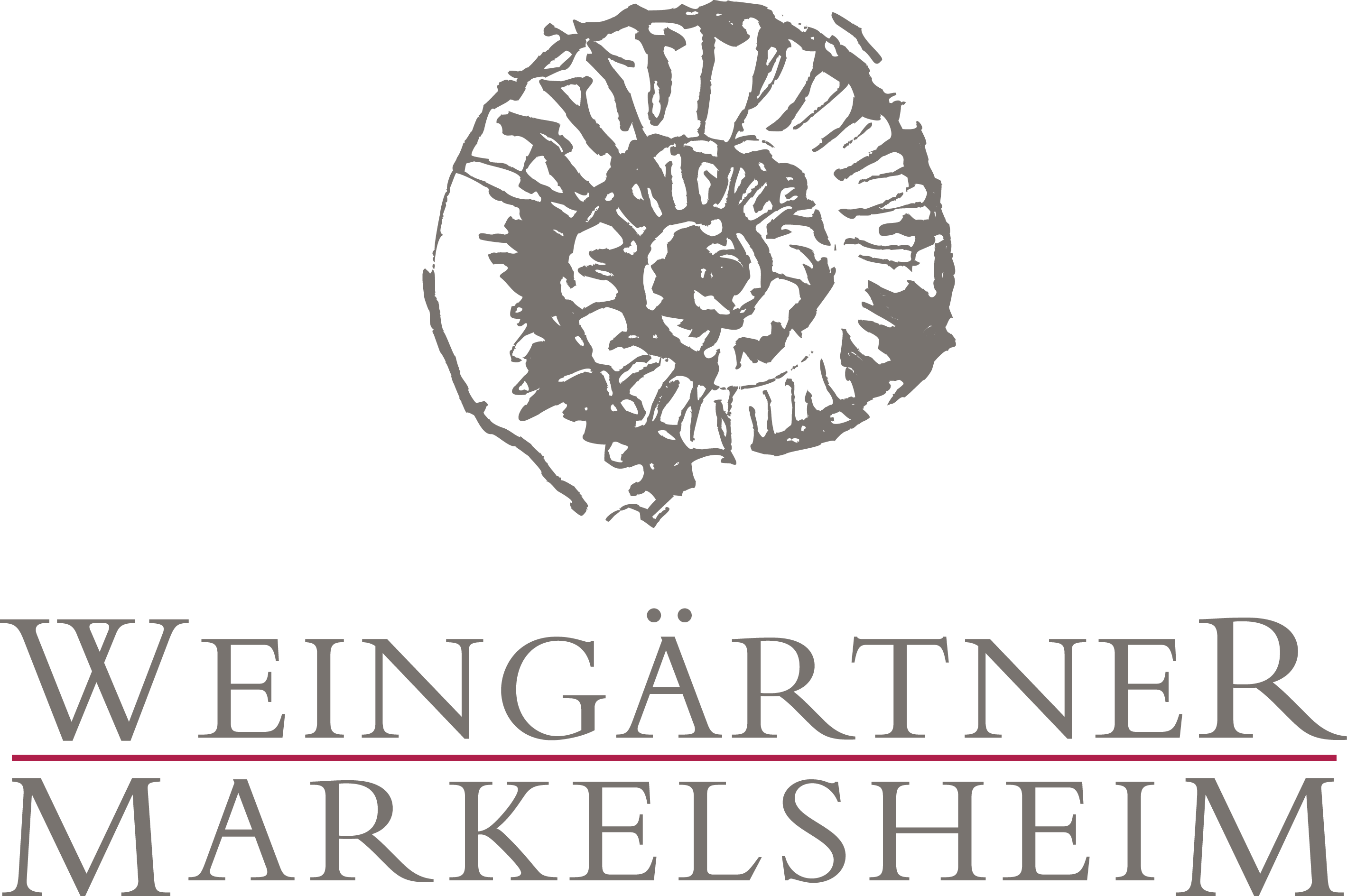 Weingärtner Markelsheim e.G.