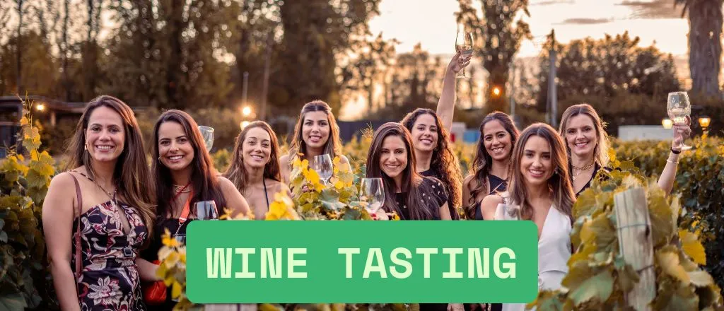 Ladies Night - Vino Vibes - Wine-Tasting trifft Party Volume 3 (89,00 EUR)