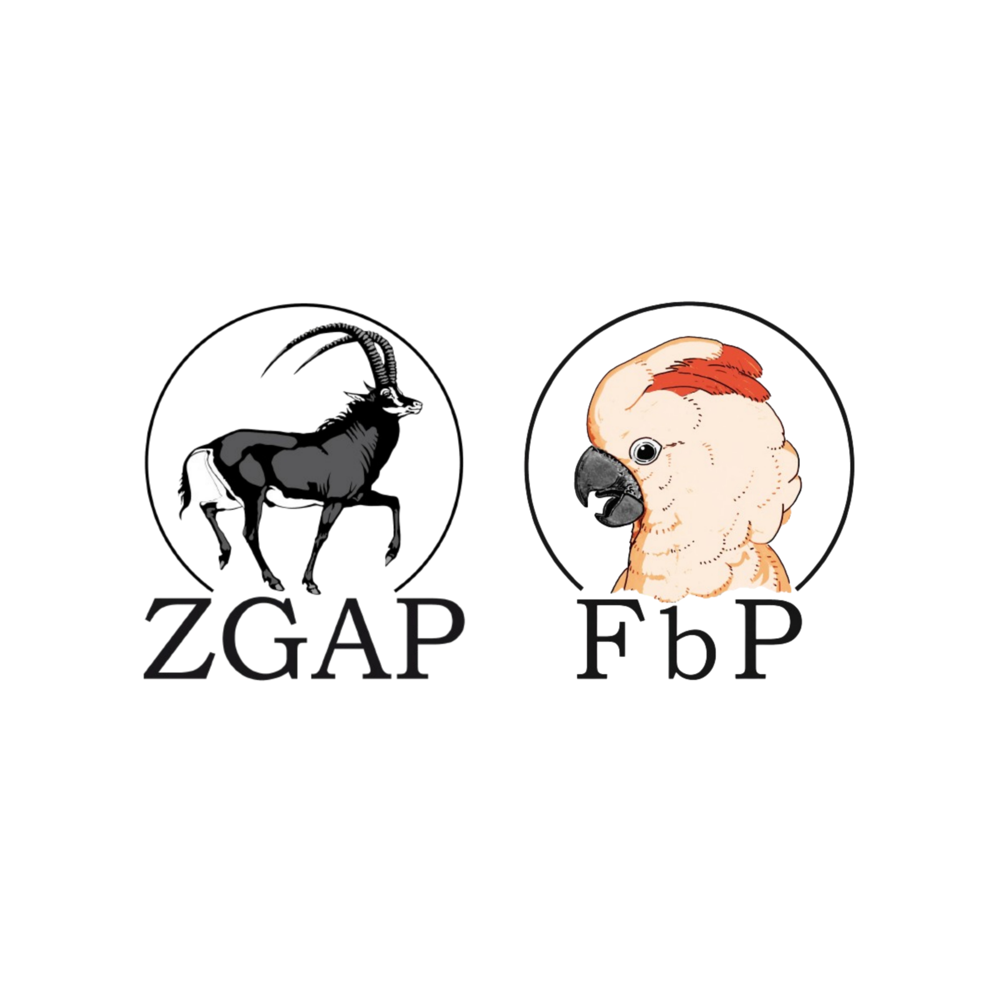 Fonds für bedrohte Papageien der Zoologischen Gesellschaft für Arten- & Populationsschutz (ZGAP) e.V.