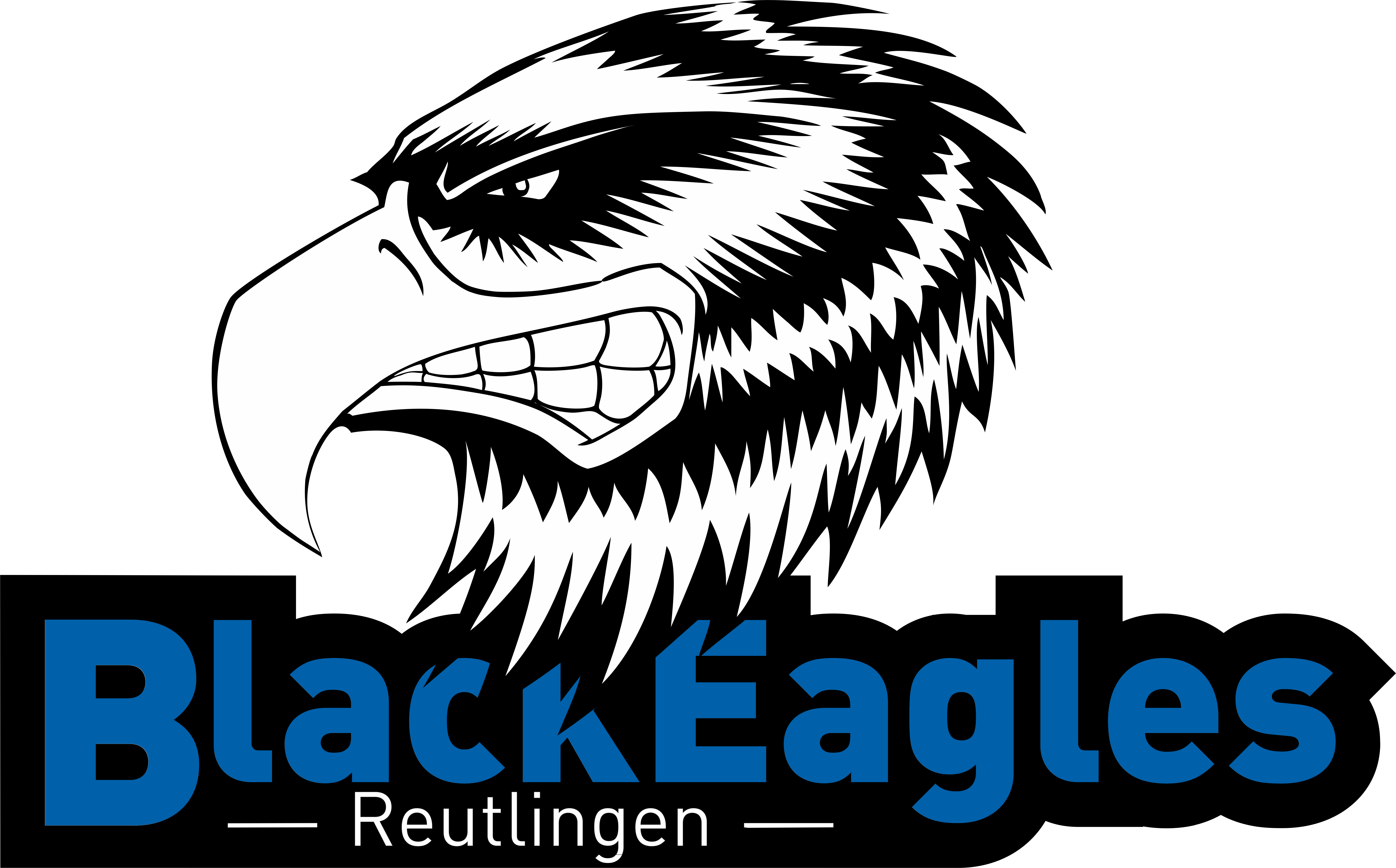 TSG-Reutlingen 1843 e.V. Abt. Eishockey
